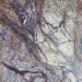 20. Rainforest Brown - marmura